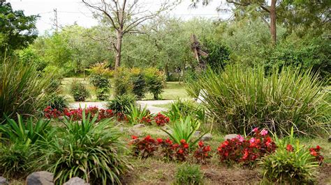  ¡El Jardín Botánico de Jolfa: Un Oasis de Verdor y Tradición!