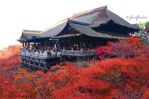 ¡Sumérgete en la magia de los colores: Explora el Santuario Kiyomizu-dera!