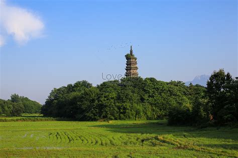 ¿Deseas explorar la belleza antigua de las pagodas en Guyuan? ¡Descubre las Pagodas del Templo de Qianshan!