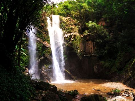 ¿Has oído hablar del Parque Nacional de Doi Suthep-Pui, un lugar mágico en medio de las montañas?